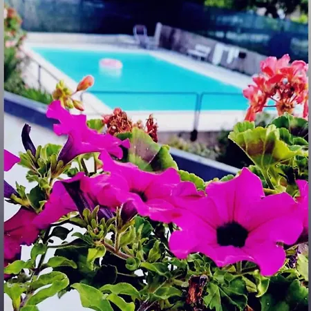 Serena Garda Pool & Station 아파트 데센자노델가르다